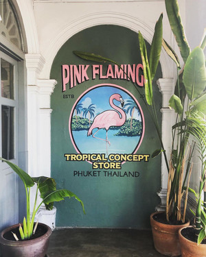 Instagram Image